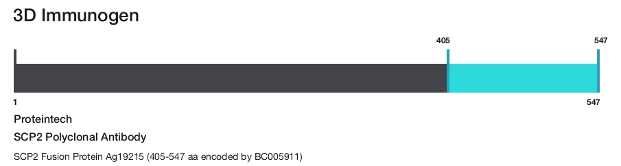 SCP2 Polyclonal Antibody