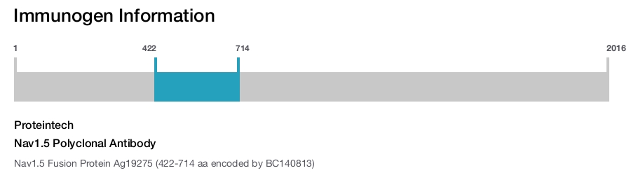 Nav1.5 Polyclonal Antibody