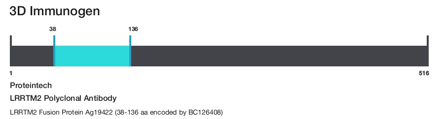 LRRTM2 Polyclonal Antibody