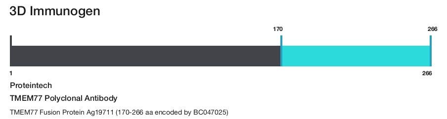TMEM77 Polyclonal Antibody