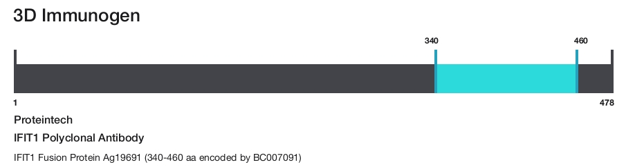 IFIT1 Polyclonal Antibody