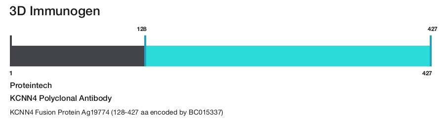 KCNN4 Polyclonal Antibody