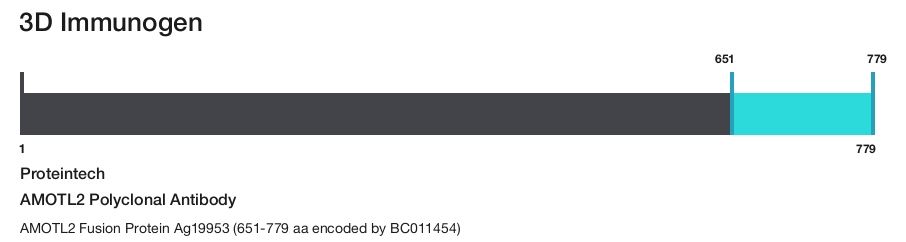 AMOTL2 Polyclonal Antibody