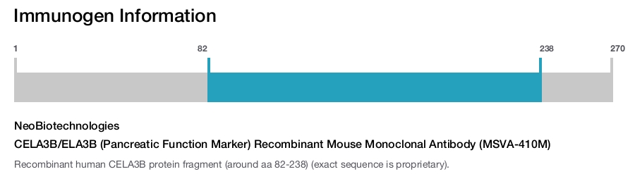 CELA3B/ELA3B (Pancreatic Function Marker) Recombinant Mouse Monoclonal Antibody (MSVA-410M)
