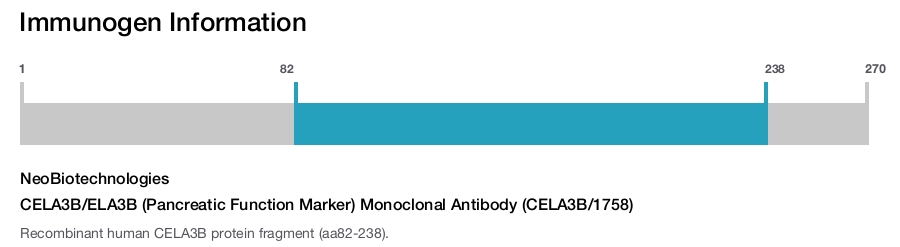 CELA3B/ELA3B (Pancreatic Function Marker) Monoclonal Antibody (CELA3B/1758)