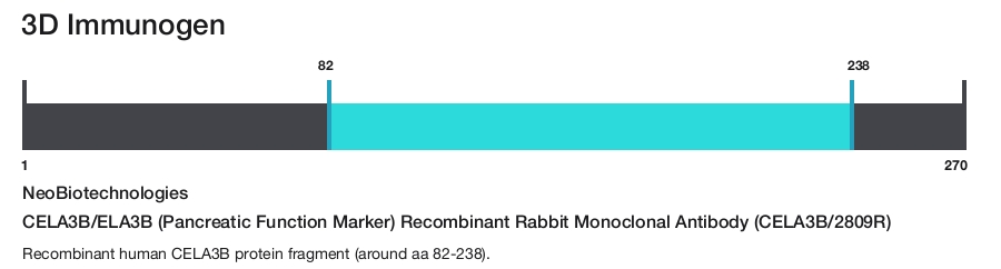 CELA3B/ELA3B (Pancreatic Function Marker) Recombinant Rabbit Monoclonal Antibody (CELA3B/2809R)