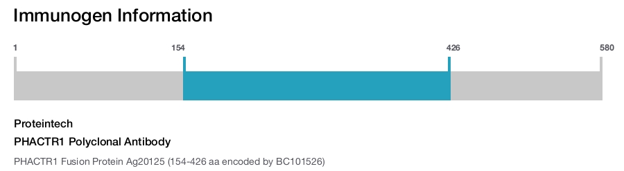 PHACTR1 Polyclonal Antibody