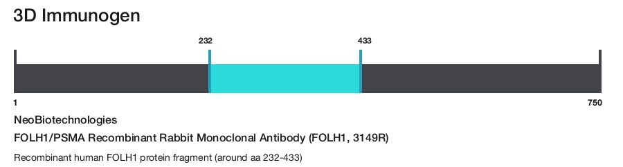 FOLH1/PSMA Recombinant Rabbit Monoclonal Antibody (FOLH1, 3149R)