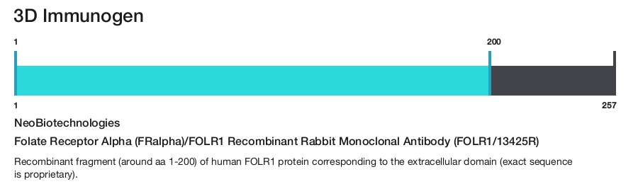 Folate Receptor Alpha (FRalpha)/FOLR1 Recombinant Rabbit Monoclonal Antibody (FOLR1/13425R)