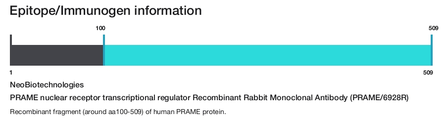 PRAME nuclear receptor transcriptional regulator Recombinant Rabbit Monoclonal Antibody (PRAME/6928R)