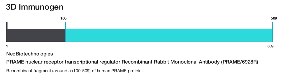 PRAME nuclear receptor transcriptional regulator Recombinant Rabbit Monoclonal Antibody (PRAME/6928R)