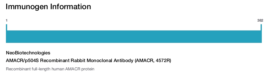 AMACR/p504S Recombinant Rabbit Monoclonal Antibody (AMACR, 4572R)