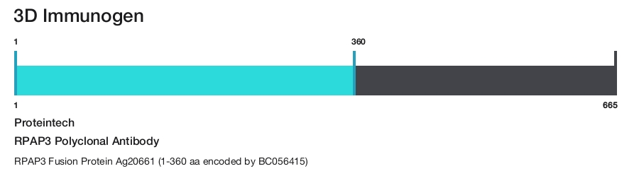 RPAP3 Polyclonal Antibody