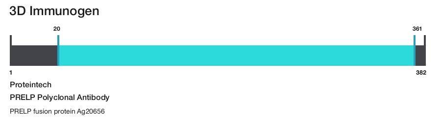 PRELP Polyclonal Antibody
