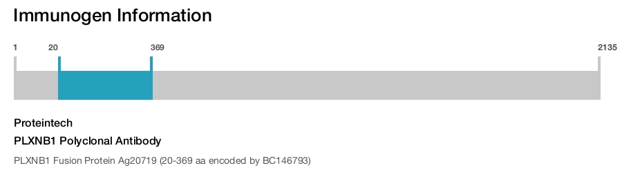 PLXNB1 Polyclonal Antibody