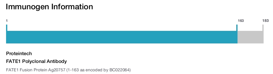 FATE1 Polyclonal Antibody
