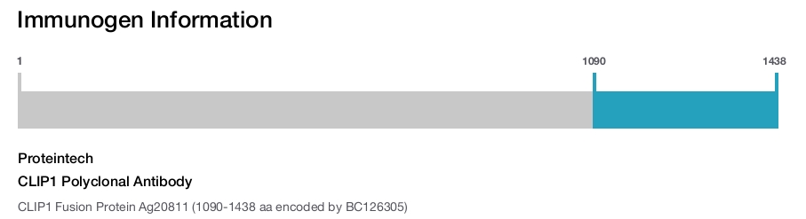 CLIP1 Polyclonal Antibody