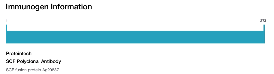 SCF Polyclonal Antibody