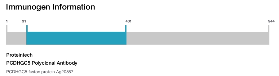 PCDHGC5 Polyclonal Antibody