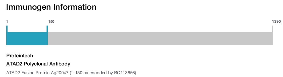 ATAD2 Polyclonal Antibody