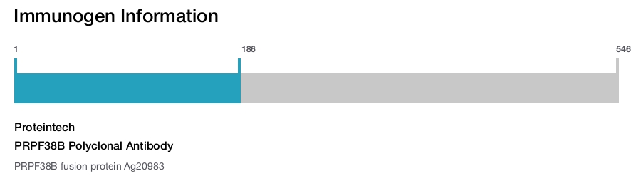 PRPF38B Polyclonal Antibody