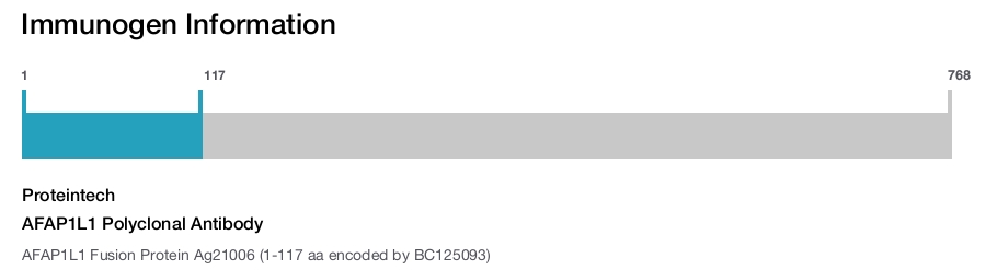 AFAP1L1 Polyclonal Antibody