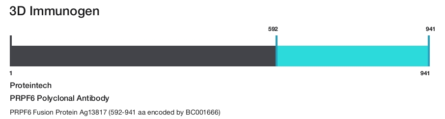 PRPF6 Polyclonal Antibody