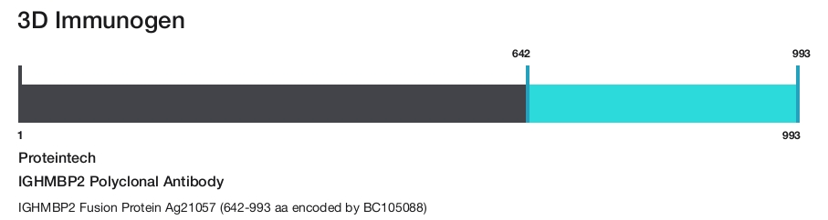 IGHMBP2 Polyclonal Antibody