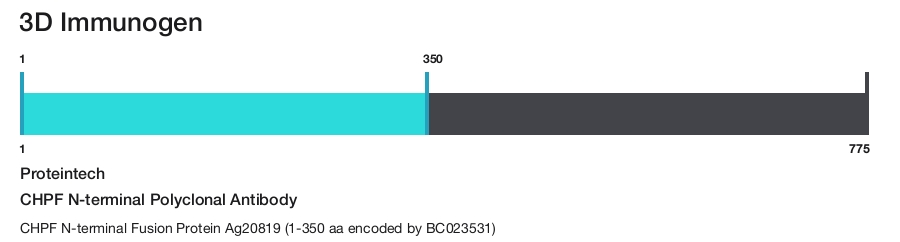 CHPF N-terminal Polyclonal Antibody