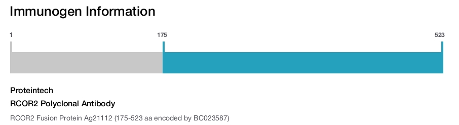 RCOR2 Polyclonal Antibody