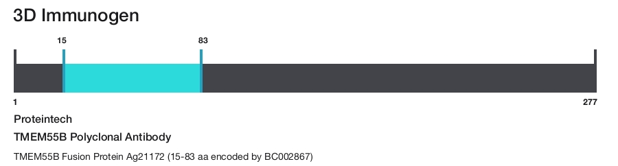 TMEM55B Polyclonal Antibody