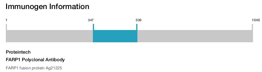 FARP1 Polyclonal Antibody