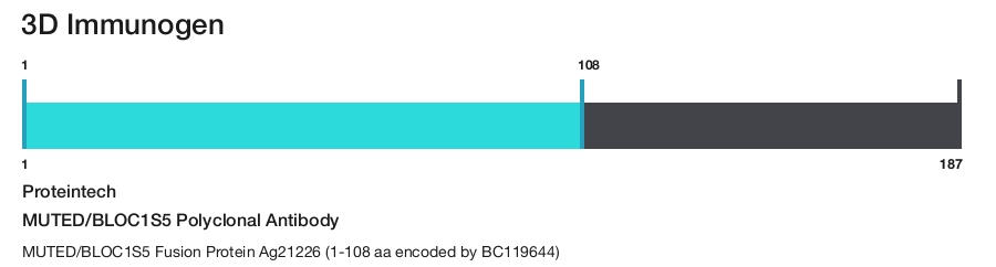 MUTED/BLOC1S5 Polyclonal Antibody