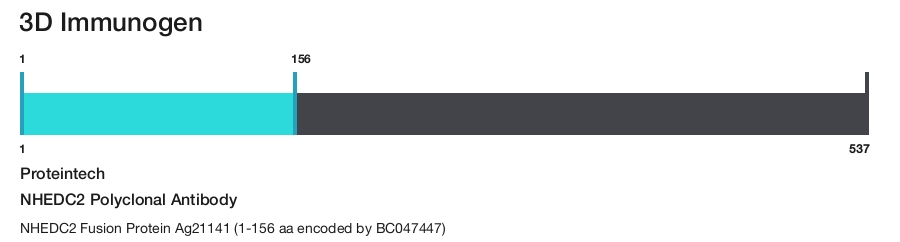 NHEDC2 Polyclonal Antibody