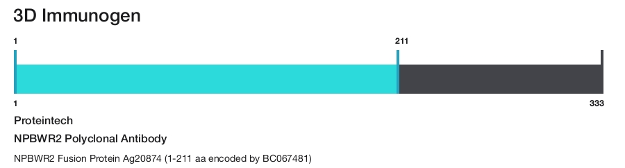 NPBWR2 Polyclonal Antibody