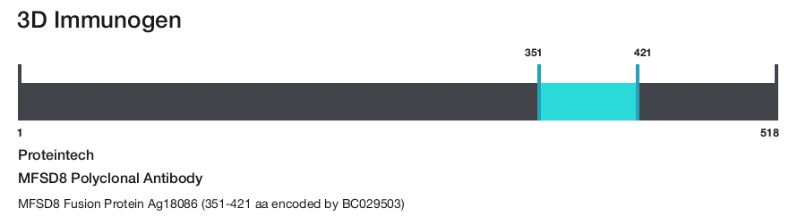 MFSD8 Polyclonal Antibody