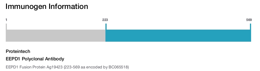 EEPD1 Polyclonal Antibody