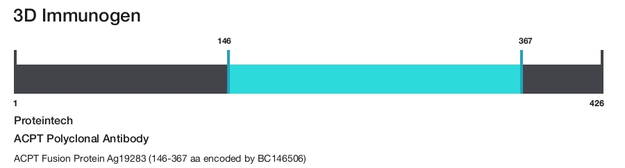 ACPT Polyclonal Antibody
