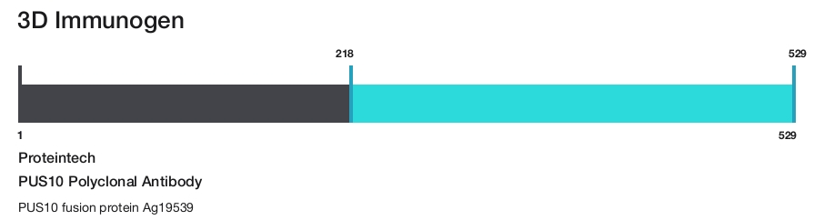 PUS10 Polyclonal Antibody