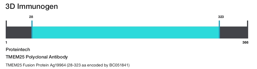 TMEM25 Polyclonal Antibody