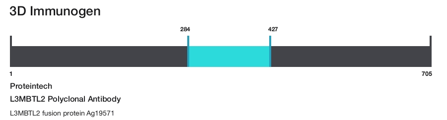 L3MBTL2 Polyclonal Antibody