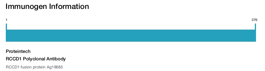 RCCD1 Polyclonal Antibody