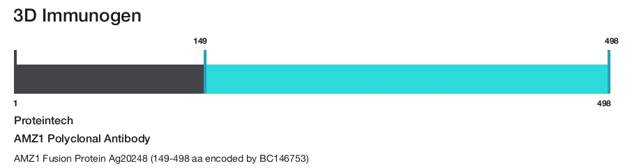 AMZ1 Polyclonal Antibody