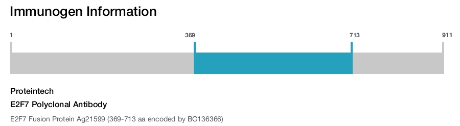 E2F7 Polyclonal Antibody
