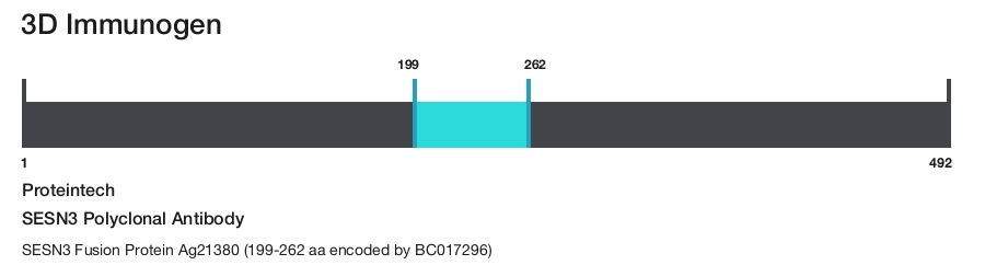 SESN3 Polyclonal Antibody
