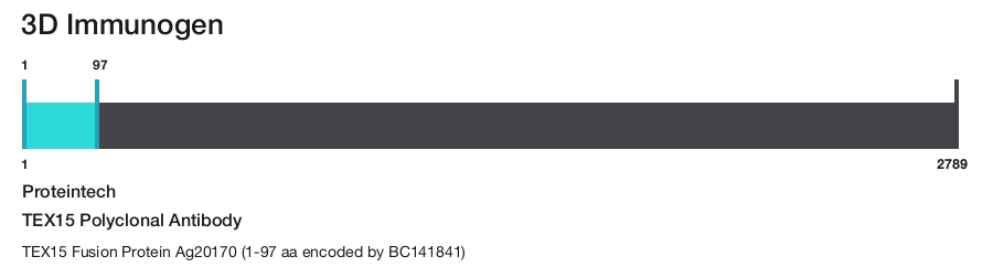 TEX15 Polyclonal Antibody