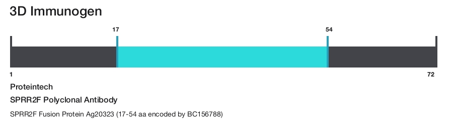 SPRR2F Polyclonal Antibody