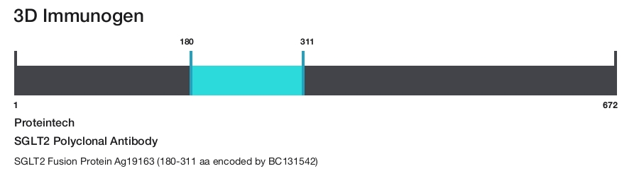 SGLT2 Polyclonal Antibody