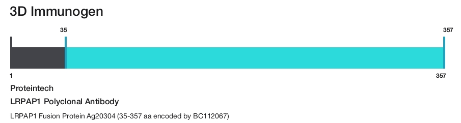 LRPAP1 Polyclonal Antibody