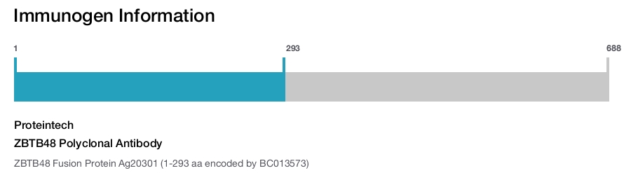 ZBTB48 Polyclonal Antibody